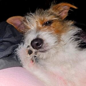 Meet your Posher, Nichole